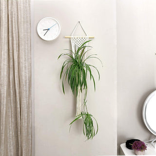 Big Macrame Hanging Planter Hanging Pot Plant Pot Macrame Plant Hangers Air Plant Holder Plant Hanging Decoration ALODIA STORE