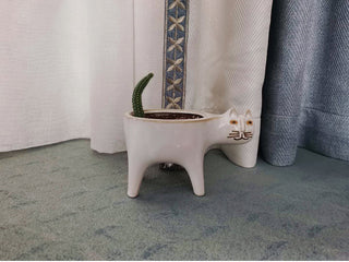 Cartoons Cat Flowerpot Animal Ceramic Flowerpot Cute Vase Cactus Succulent Plants Potted  Flower Arrangement Home Decoration ALODIA STORE