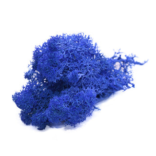 20/40g Artificial Green Plants Eternal Life Moss Grass Home Living Room Garden Decoration Mini Landscape Fake Flower DIY Crafts ALODIA STORE