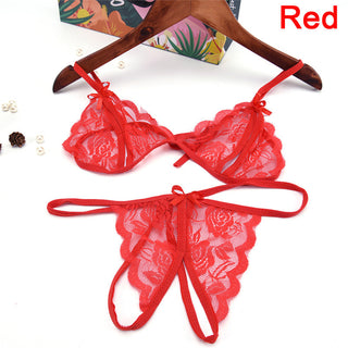 2020 Hot Women Sexy Romantic See Through Bra Transparent Lace Underwear Sexy Women Sets Lingerie Set Femme Bra And Panties Set ALODIA STORE