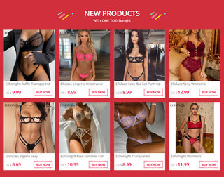 Echonight Transparent Lingerie Bandage Hollow Out Women's Underwear Set Sexy Female Bra and Party Set Erotic Lingerie Wholesale ALODIA STORE