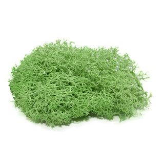 20/40g Artificial Green Plants Eternal Life Moss Grass Home Living Room Garden Decoration Mini Landscape Fake Flower DIY Crafts ALODIA STORE