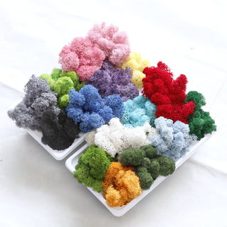 20/40g Artificial Green Plants Eternal Life Moss Grass Home Living Room Garden Decoration Mini Landscape Fake Flower DIY Crafts ALODIA STORE