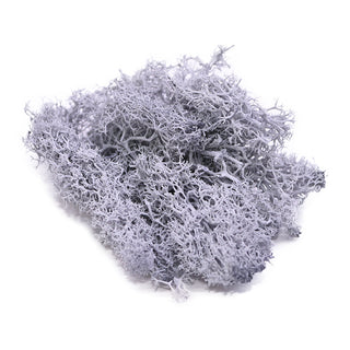 20/40g Artificial Green Plants Eternal Life Moss Grass Home Living Room Garden Decoration Mini Landscape Fake Flower DIY Crafts ALODIA STORE