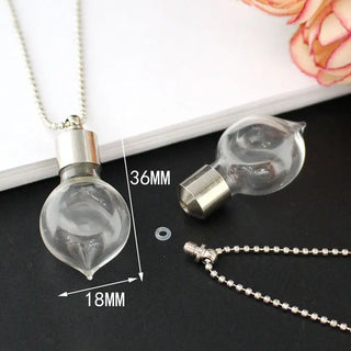 2PCS Glass Locket Urn Jewelry Cremation Jewelry Urn Necklace for Ashes Fillable vials Necklaces Blood Vial Necklace ALODIA STORE