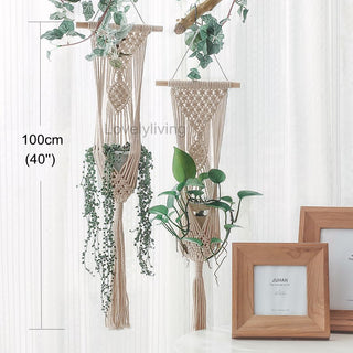 Big Macrame Hanging Planter Hanging Pot Plant Pot Macrame Plant Hangers Air Plant Holder Plant Hanging Decoration ALODIA STORE