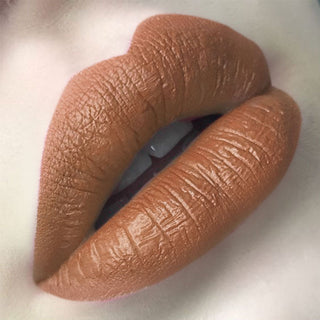 Colors Matte Lipstick High Gloss Crayons Long ALODIA STORE