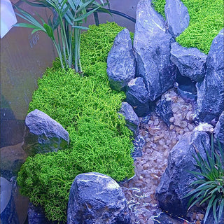 40g Simulation Artificial Moss Green Eternal Life Moss Grass Fake Plant For Home Wall Decor Garden Micro Landscape Material Gift ALODIA STORE