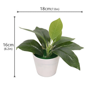 Mini Artificial Aloe Plants Bonsai Small Simulated Tree Pot Plants Fake Flowers Office Table Potted Ornaments Home Garden Decor ALODIA STORE