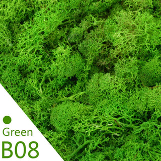 40g Simulation Artificial Moss Green Eternal Life Moss Grass Fake Plant For Home Wall Decor Garden Micro Landscape Material Gift ALODIA STORE