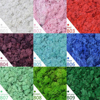 40g Simulation Artificial Moss Green Eternal Life Moss Grass Fake Plant For Home Wall Decor Garden Micro Landscape Material Gift ALODIA STORE