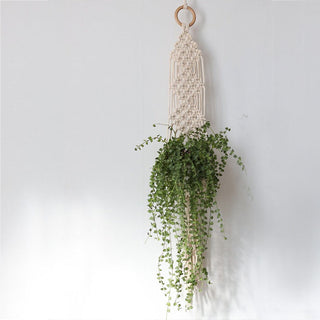 good quality plant hanger pot hanging for home garden macrame plant hanger for bacony pot hanging indoor ALODIA STORE
