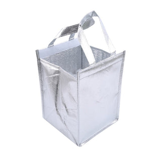 1Pcs Aluminum Foil Ice Storage Bags foldable ALODIA STORE