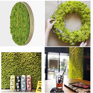 40g Simulation Artificial Moss Green Eternal Life Moss Grass Fake Plant For Home Wall Decor Garden Micro Landscape Material Gift ALODIA STORE