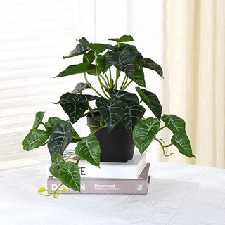 1PC Artificial Plants Green Turtle Leaves Simulation Turtle Back Leaf Tropical Wedding Party Table Living Room Home Garden Decor ALODIA STORE