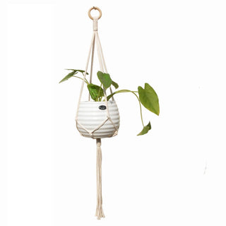 good quality plant hanger pot hanging for home garden macrame plant hanger for bacony pot hanging indoor ALODIA STORE