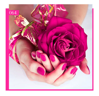 Beautilux Nail Gel Polish Kit Hot ALODIA STORE
