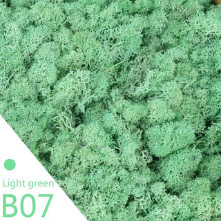 40g Simulation Artificial Moss Green Eternal Life Moss Grass Fake Plant For Home Wall Decor Garden Micro Landscape Material Gift ALODIA STORE