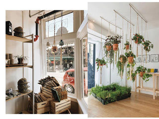 good quality plant hanger pot hanging for home garden macrame plant hanger for bacony pot hanging indoor ALODIA STORE