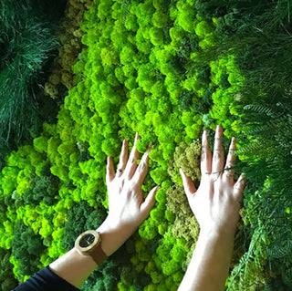 40g Simulation Artificial Moss Green Eternal Life Moss Grass Fake Plant For Home Wall Decor Garden Micro Landscape Material Gift ALODIA STORE