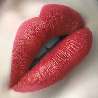 FOCALLURE 27 Colors Matte Lipstick High Gloss Crayons Long Lasting Waterproof Lip Makeup Cosmetics ALODIA STORE