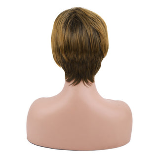 Amir Synthetic Brown Wig Short blonde Wigs Natural Wave Haircut Puffy Straight Hair Wigs for American Africa Women ALODIA STORE