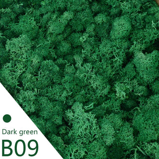 40g Simulation Artificial Moss Green Eternal Life Moss Grass Fake Plant For Home Wall Decor Garden Micro Landscape Material Gift ALODIA STORE