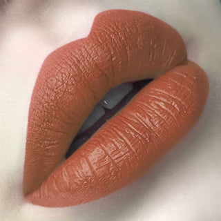 Colors Matte Lipstick High Gloss Crayons Long ALODIA STORE