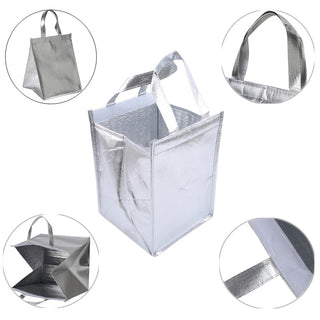 1Pcs Aluminum Foil Ice Storage Bags foldable ALODIA STORE