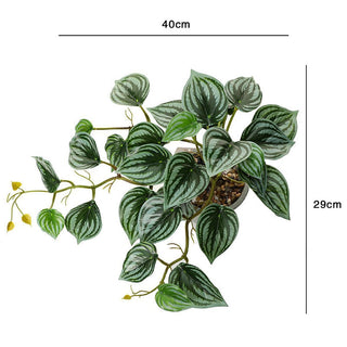 1PC Artificial Plants Green Turtle Leaves Simulation Turtle Back Leaf Tropical Wedding Party Table Living Room Home Garden Decor ALODIA STORE