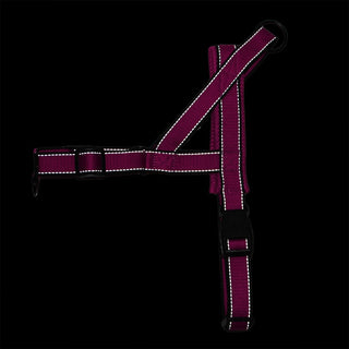 Adjustable Dog Harness ALODIA STORE
