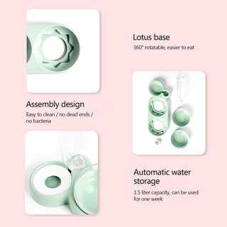 Pet Bowl Double Bowls Food Water Feeder With Auto Water Dispenser ALODIA STORE