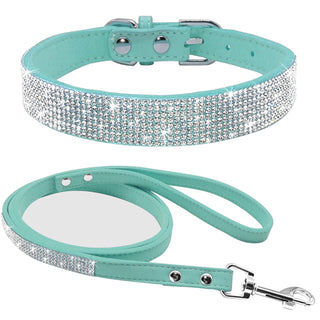 Pet Collar ALODIA STORE