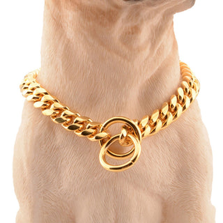 18K Gold Cuban Link Chain Collar for Dogs ALODIA STORE