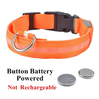 Adjustable LED Glowing Pet Collar ALODIA STORE