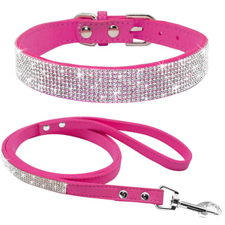 Pet Collar ALODIA STORE