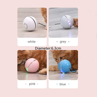 LED Colorful Cat Toy ALODIA STORE