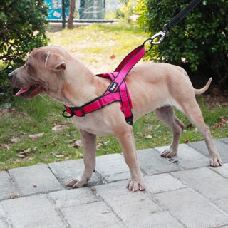 Adjustable Dog Harness ALODIA STORE