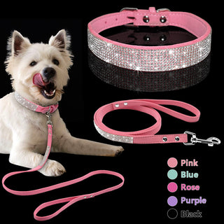 Pet Collar ALODIA STORE