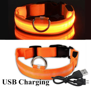 Adjustable LED Glowing Pet Collar ALODIA STORE